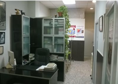 despacho veterinario